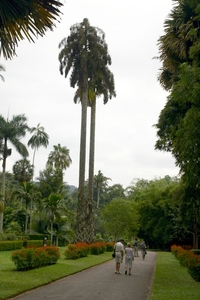 SriLanka562