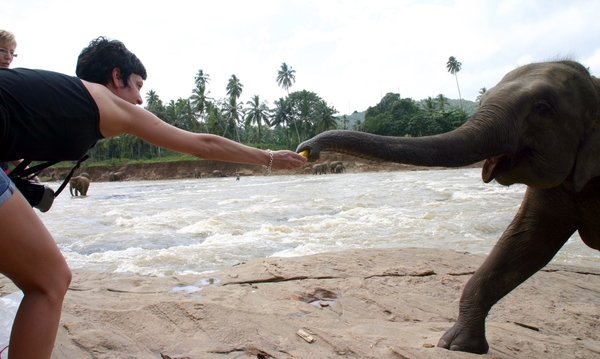 Jennifer en de olifant