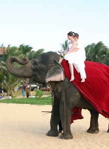 SriLanka770