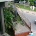 SriLanka771