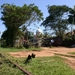 SriLanka804