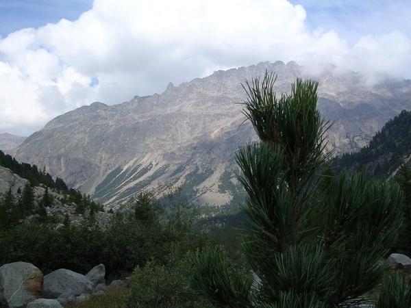 Zwitserland 2008 024