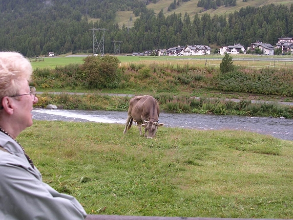 Zwitserland 2008 082