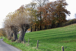 landschap rond de Poelberg