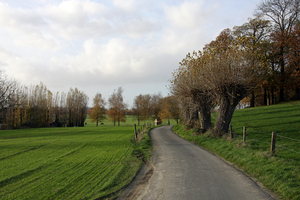 landschap rond de Poelberg