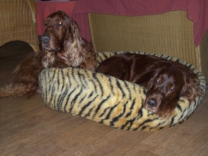 flemming/purdey