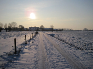 ochtendzon in de sneeuw