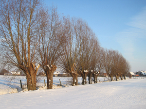 Sneeuwlandschap