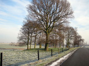 Binnenweg Oostrozebeke - Dentergem