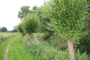 Wandelpad achter het dorp