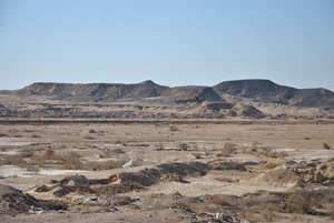 DSC_0044 Woestijn
