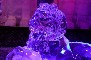 SAM_0232