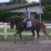 BILD0231