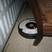 de Roomba Robot poetst het huis 011