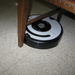 de Roomba Robot poetst het huis 012
