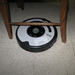 de Roomba Robot poetst het huis 016