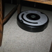 de Roomba Robot poetst het huis 017