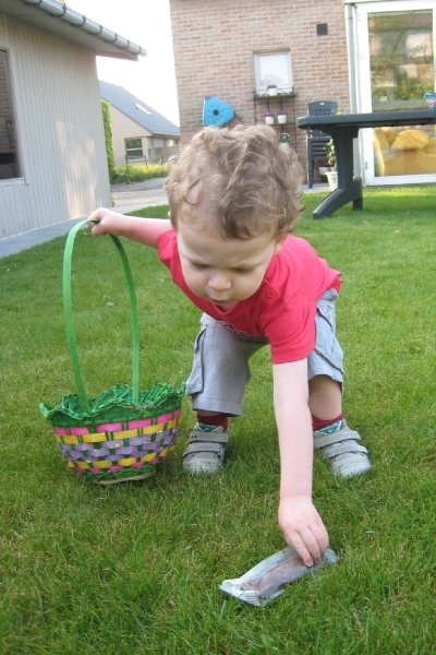 looking for chocolats of easter bunny 2011-04-231_15