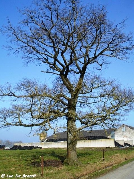 marche Adeps Froidchapelle Wallonie Ardennen