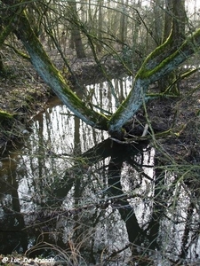 2011_01_30 Froidchapelle 40