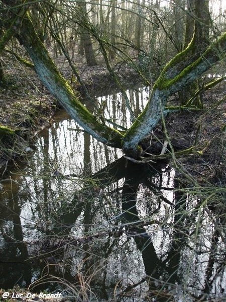 marche Adeps Froidchapelle Wallonie Ardennen