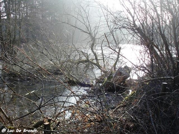 marche Adeps Froidchapelle Wallonie Ardennen