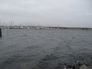 2011-02-7 port zelande vinkskes 029