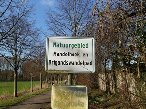 Ingelmunster februari 2011 010