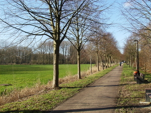 Ingelmunster februari 2011 011