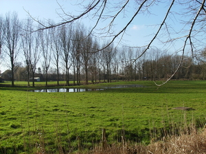 Ingelmunster februari 2011 012