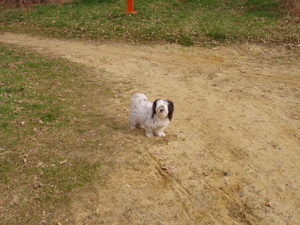 foto's-michka -snoopy