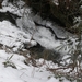 DSCN0569