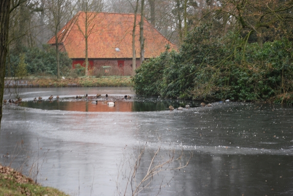 2011-02-01 Jan Med Turnhout (18)