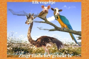 03  ELK VOGELTJE ZINGT  1