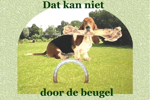 DAT KAN NIET DOOR DE BEUGEL