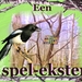 EEN SPEL-EKSTER