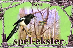 EEN SPEL-EKSTER