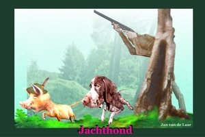 JACHTHOND