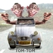 TOM-TOM