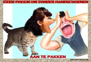 GEEN POESJE OM ZONDER HANDSCHOENEN AAN TE PAKKEN