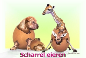 SCHARREL EIEREN