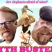 MYTHBUSTERS, ARE ELEPHANTS AFRAID OF MICE?