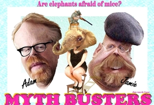 MYTHBUSTERS, ARE ELEPHANTS AFRAID OF MICE?