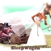 SLEEPWAGEN