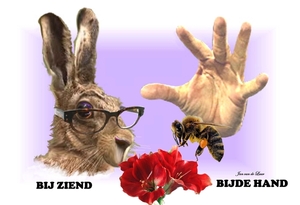 BIJZIEND-BIJDEHAND