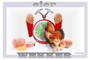 EIERWEKKER