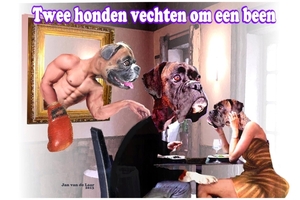 TWEE HONDEN VECHTEN OM EEN BEEN