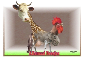ALLEMAAL BEESJES