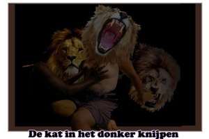 DE KAT IN HET DONKER KNIJPEN