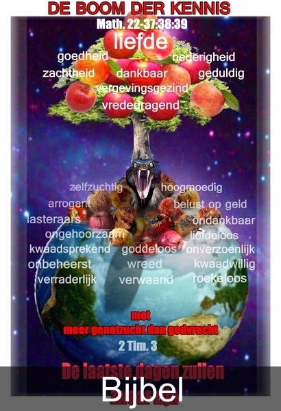DE SCHEPPING,DE BOOM DER KENNIS VAN GOED EN KWAAD,GODDELIJKE SCHEPPING, MENSELIJKE SCHEPPING, JANVANDELAAR, WEERT.